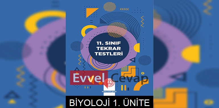 11. Sınıf Tekrar Testleri Biyoloji 1. Ünite Cevapları