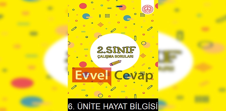 2. Sınıf Hayat Bilgisi Çalışma Soruları 6. Ünite Cevapları