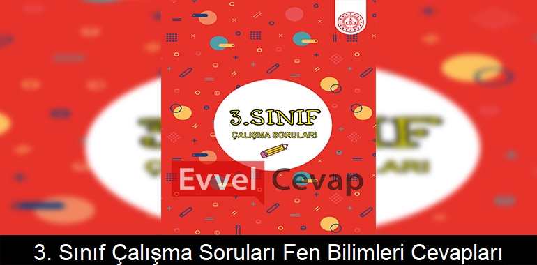 3. Sınıf Çalışma Soruları Fen Bilimleri Cevapları