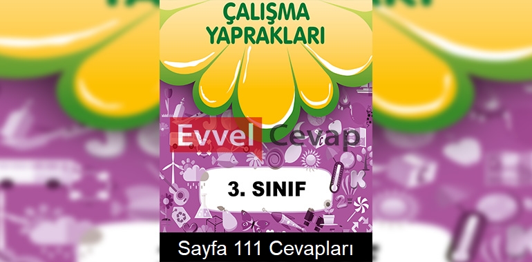 3. Sınıf Çalışma Yaprakları Cevapları Sayfa 111