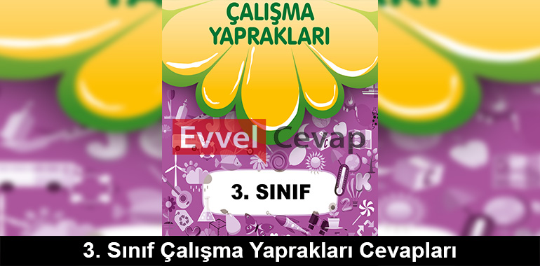 3. Sınıf Çalışma Yaprakları Cevapları