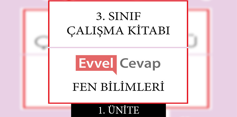 3. Sınıf Fen Bilimleri Çalışma Kitabı 1. Ünite Cevapları