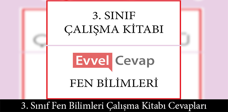 3. Sınıf Fen Bilimleri Çalışma Kitabı Cevapları