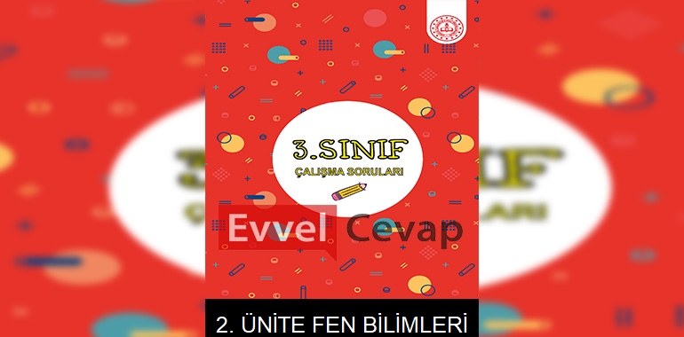 3. Sınıf Fen Bilimleri Çalışma Soruları 2. Ünite Cevapları