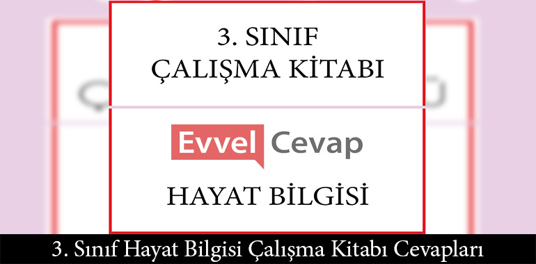 3. Sınıf Hayat Bilgisi Çalışma Kitabı Cevapları