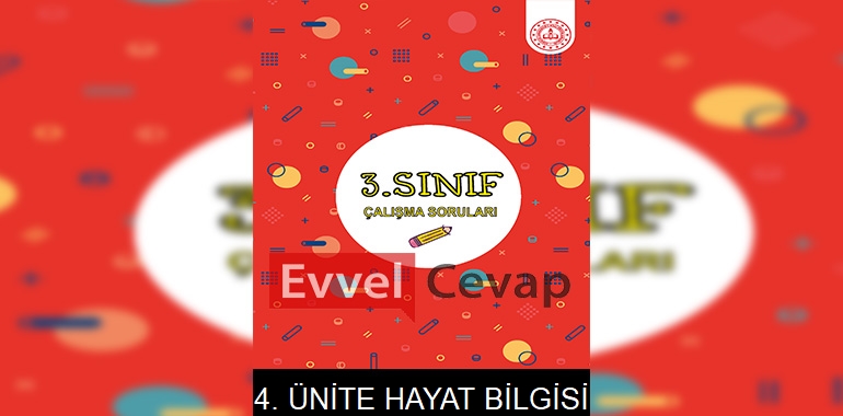 3. Sınıf Hayat Bilgisi Çalışma Soruları 4. Ünite Cevapları