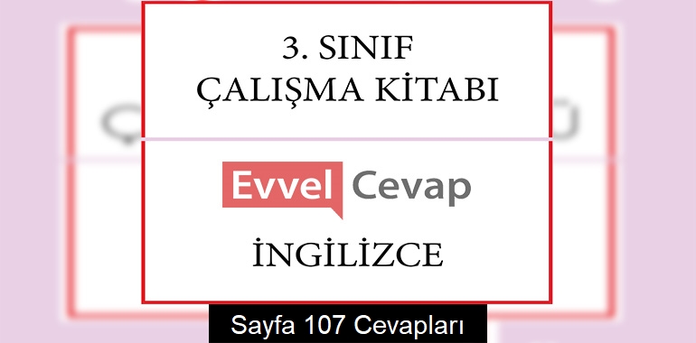 3. Sınıf İngilizce Çalışma Kitabı Cevapları Sayfa 107
