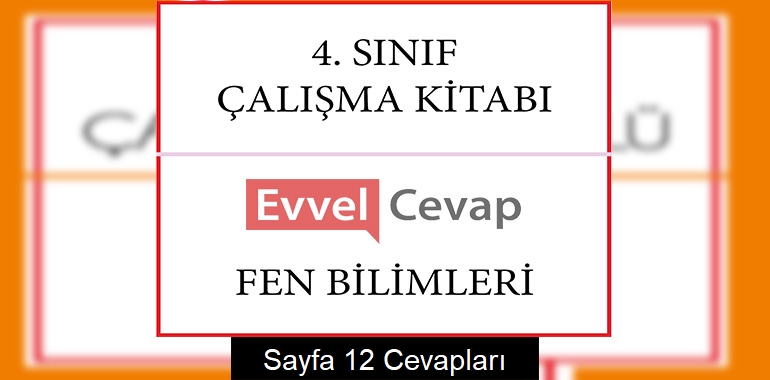 4. Sınıf Çalışma Kitabı Fen Bilimleri Cevapları Sayfa 12