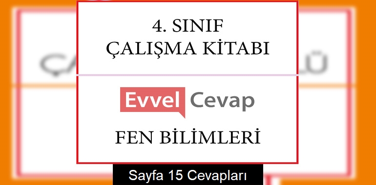 4. Sınıf Çalışma Kitabı Fen Bilimleri Cevapları Sayfa 15
