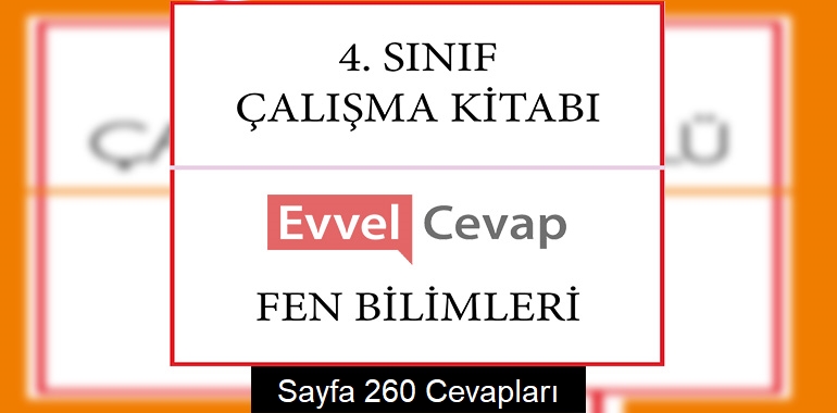 4. Sınıf Çalışma Kitabı Fen Bilimleri Cevapları Sayfa 260