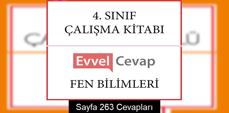4. Sınıf Çalışma Kitabı Fen Bilimleri Cevapları Sayfa 263