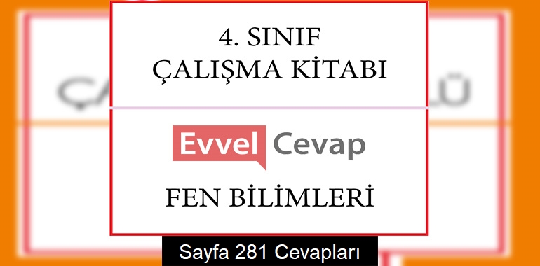 4. Sınıf Çalışma Kitabı Fen Bilimleri Cevapları Sayfa 281