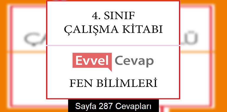 4. Sınıf Çalışma Kitabı Fen Bilimleri Cevapları Sayfa 287