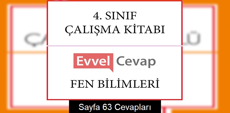 4. Sınıf Çalışma Kitabı Fen Bilimleri Cevapları Sayfa 63