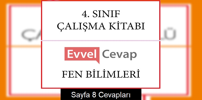 4. Sınıf Çalışma Kitabı Fen Bilimleri Cevapları Sayfa 8