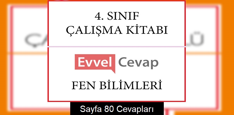 4. Sınıf Çalışma Kitabı Fen Bilimleri Cevapları Sayfa 80