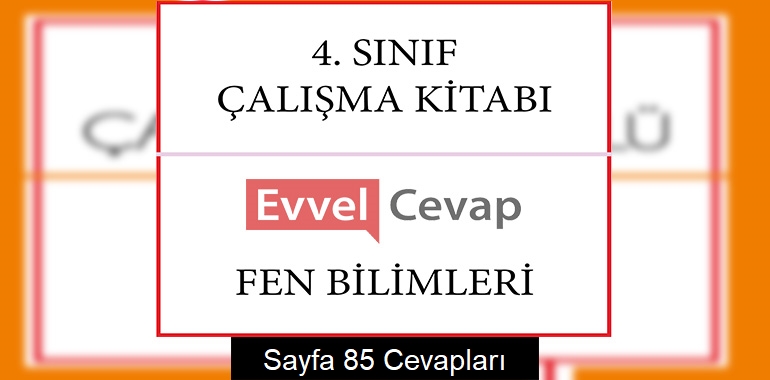 4. Sınıf Çalışma Kitabı Fen Bilimleri Cevapları Sayfa 85