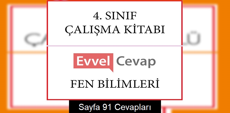4. Sınıf Çalışma Kitabı Fen Bilimleri Cevapları Sayfa 91