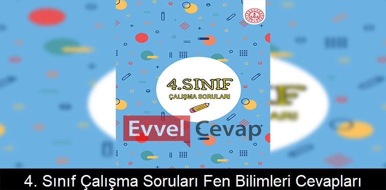 4. Sınıf Çalışma Soruları Fen Bilimleri Cevapları