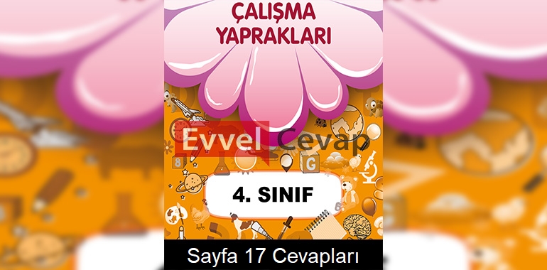 4. Sınıf Çalışma Yaprakları Cevapları Sayfa 17