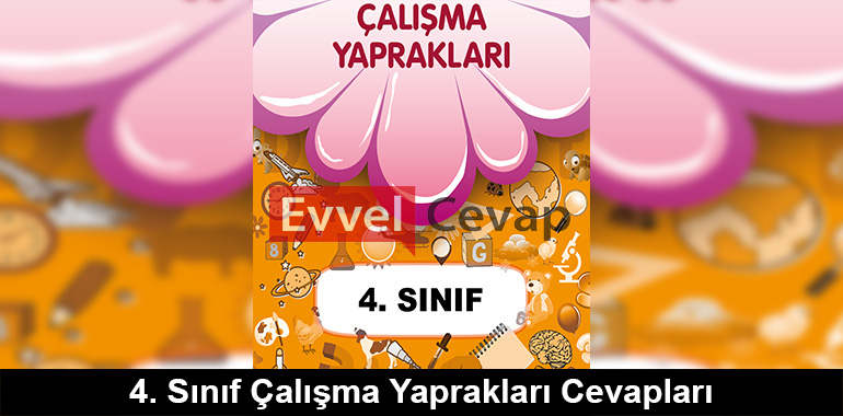 4. Sınıf Çalışma Yaprakları Cevapları