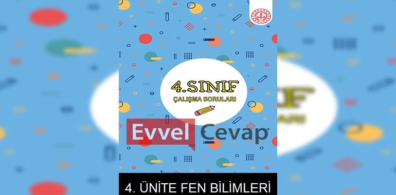 4. Sınıf Fen Bilimleri Çalışma Soruları 4. Ünite Cevapları