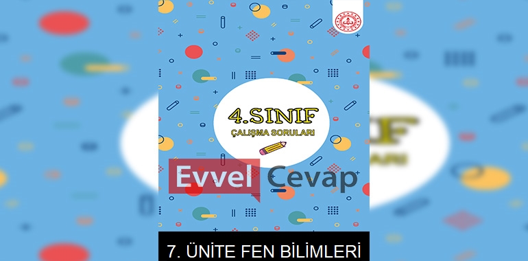 4. Sınıf Fen Bilimleri Çalışma Soruları 7. Ünite Cevapları
