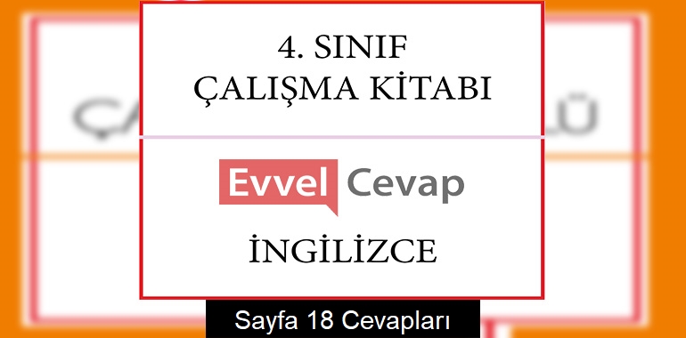 4. Sınıf İngilizce Çalışma Kitabı Cevapları Sayfa 18 (1. Dönem)