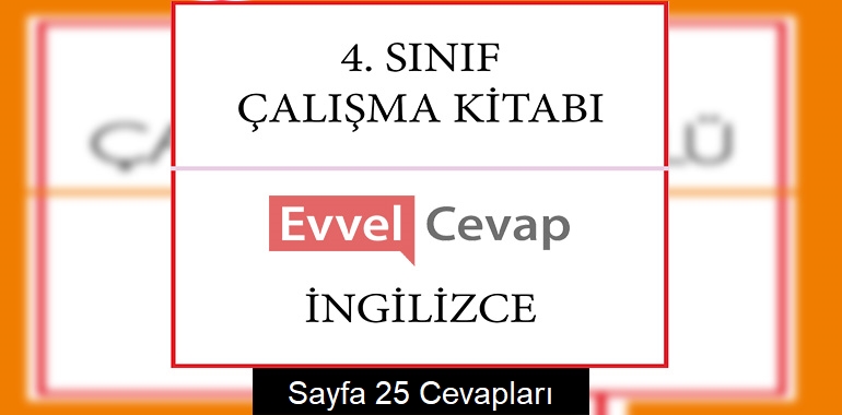 4. Sınıf İngilizce Çalışma Kitabı Cevapları Sayfa 25 (1. Dönem)