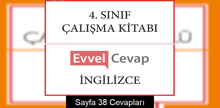4. Sınıf İngilizce Çalışma Kitabı Cevapları Sayfa 38 (1. Dönem)