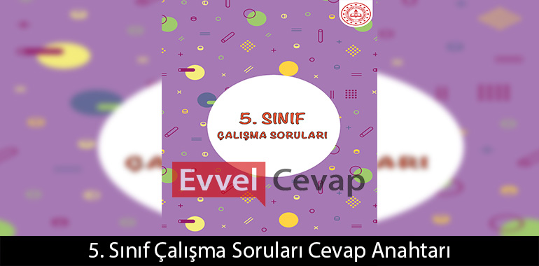 5. Sınıf Çalışma Soruları Cevap Anahtarı