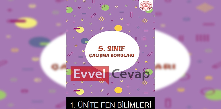 5. Sınıf Fen Bilimleri Çalışma Soruları 1. Ünite Cevapları