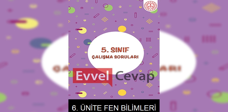 5. Sınıf Fen Bilimleri Çalışma Soruları 6. Ünite Cevapları