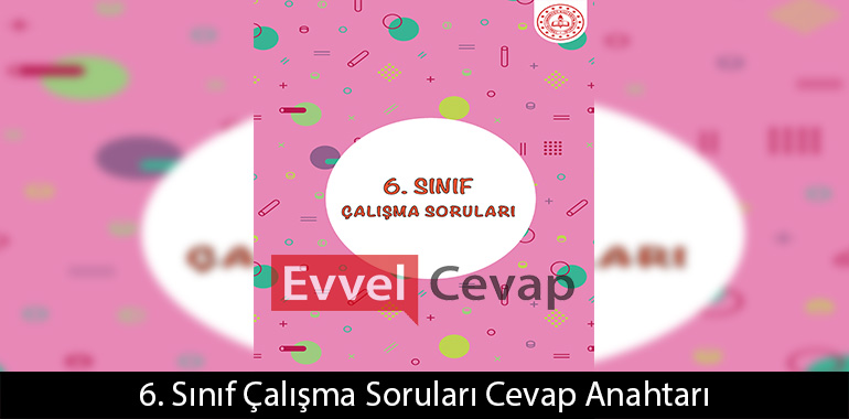 6. Sınıf Çalışma Soruları Cevap Anahtarı