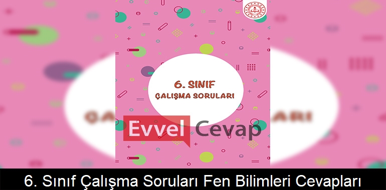 6. Sınıf Çalışma Soruları Fen Bilimleri Cevapları