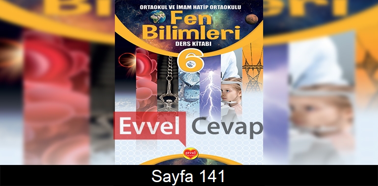 6. Sınıf Sevgi Yayınları Fen Bilimleri Ders Kitabı Cevapları Sayfa 141