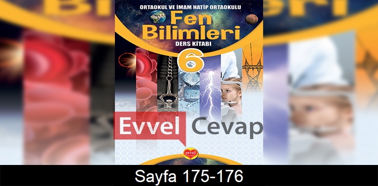 6. Sınıf Sevgi Yayınları Fen Bilimleri Ders Kitabı Cevapları Sayfa 175-176