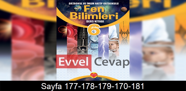6. Sınıf Sevgi Yayınları Fen Bilimleri Ders Kitabı Cevapları Sayfa 177-178-179-170-181