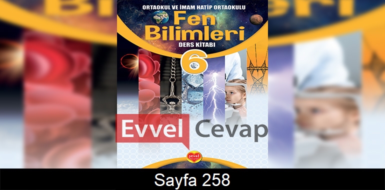6. Sınıf Sevgi Yayınları Fen Bilimleri Ders Kitabı Cevapları Sayfa 258