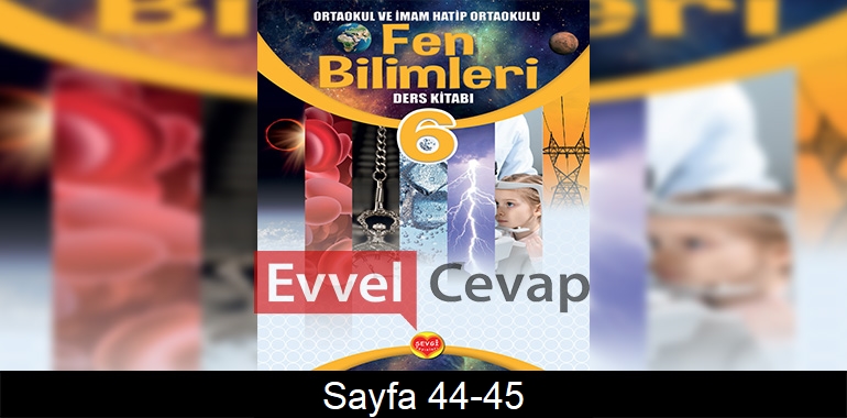 6. Sınıf Sevgi Yayınları Fen Bilimleri Ders Kitabı Cevapları Sayfa 44-45