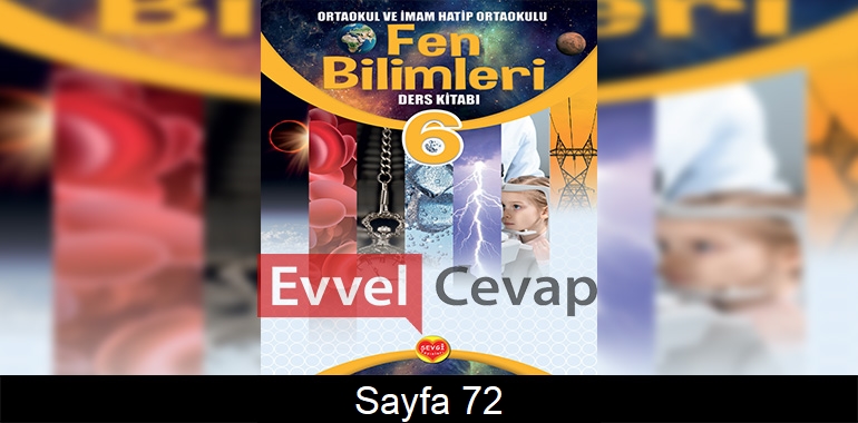 6. Sınıf Sevgi Yayınları Fen Bilimleri Ders Kitabı Cevapları Sayfa 72