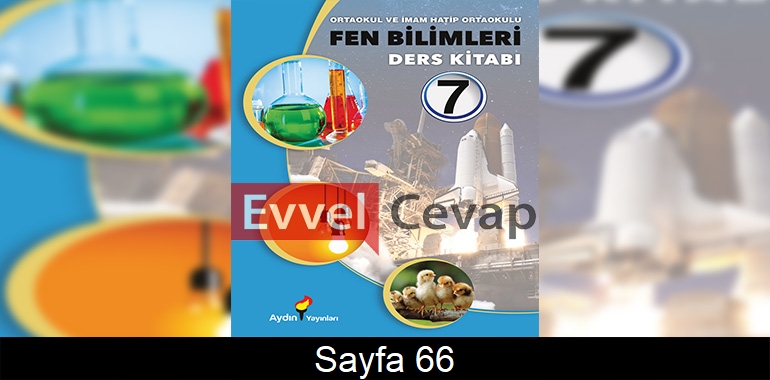 7. Sınıf Aydın Yayınları Fen Bilimleri Ders Kitabı Cevapları Sayfa 66