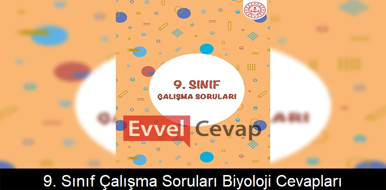 9. Sınıf Çalışma Soruları Biyoloji Cevapları