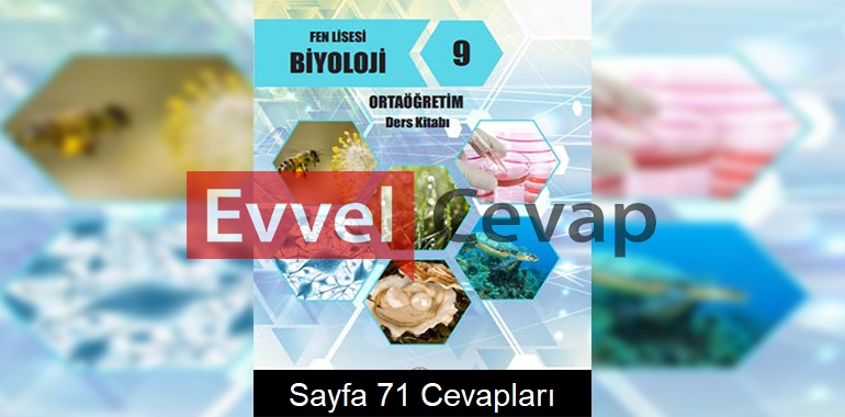 9. Sınıf Fen Lisesi Biyoloji Ders Kitabı Cevapları Sayfa 71