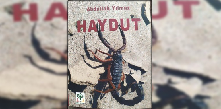 Haydut Kitap Özeti Abdullah Yılmaz