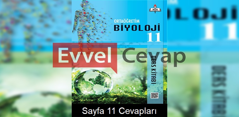 11. Sınıf Biyoloji Meb Yayınları Ders Kitabı Cevapları Sayfa 11