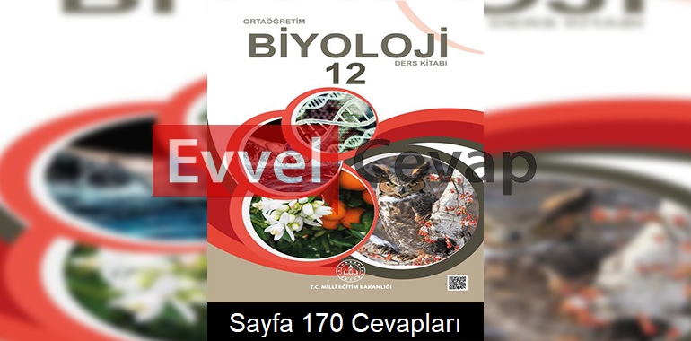 12. Sınıf Meb Yayınları Biyoloji Ders Kitabı Sayfa 170 Cevabı