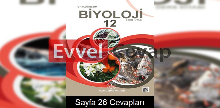 12. Sınıf Meb Yayınları Biyoloji Ders Kitabı Sayfa 26 Cevabı