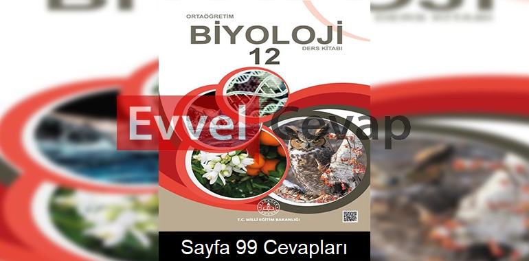 12. Sınıf Meb Yayınları Biyoloji Ders Kitabı Sayfa 99 Cevabı