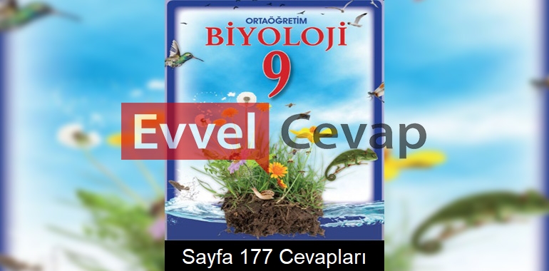 9. Sınıf Biyoloji Meb Yayınları Ders Kitabı Cevapları Sayfa 177